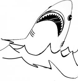 Shark Coloring Pages (10)