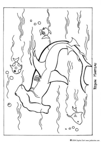 Shark Coloring Pages (17)