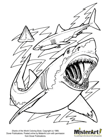 Shark Coloring Pages (18)