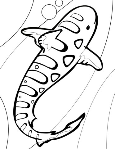 Shark Coloring Pages (18)