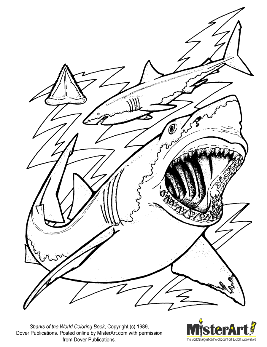 Shark Coloring Pages (12) Coloring Kids - Coloring Kids