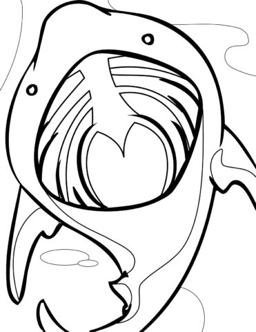 Shark Coloring Pages (19)