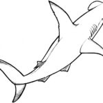 Shark Coloring Pages (14) - Coloring Kids