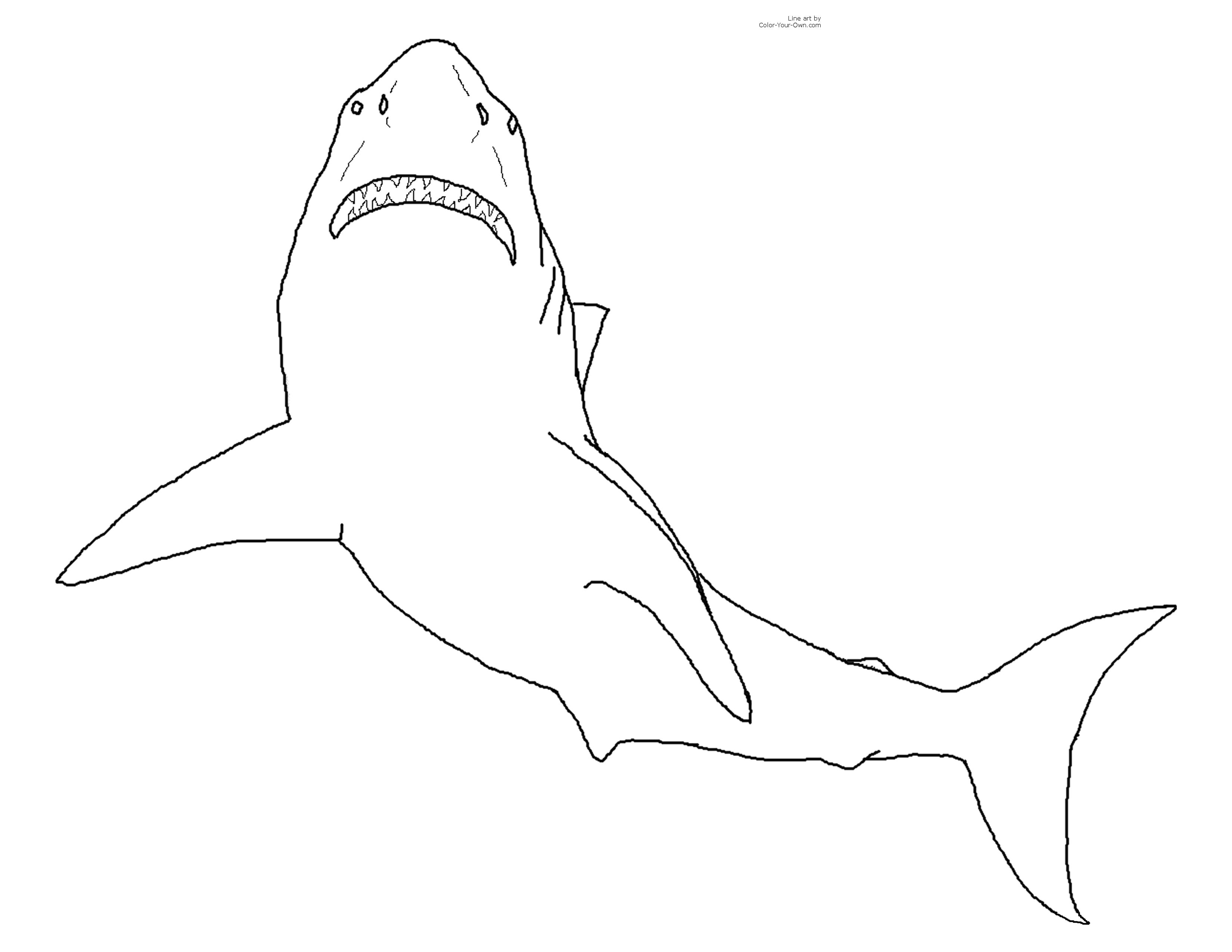 Shark Coloring Pages (7) Coloring Kids