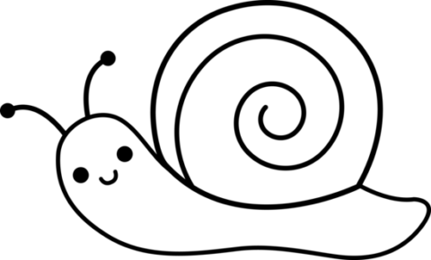 snails3