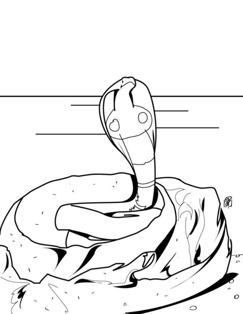 Snake Coloring Pages (1)
