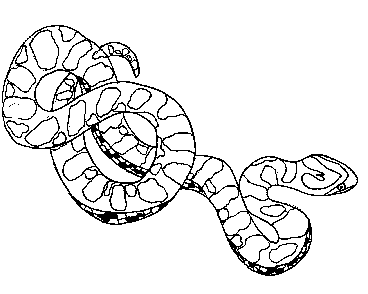 Snake Coloring Pages (1)