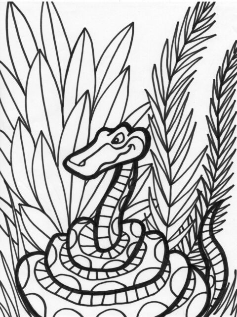 Snake Coloring Pages (11)