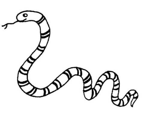 Snake Coloring Pages (13)