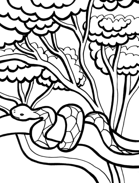 Snake Coloring Pages (13)
