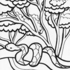 Snake Coloring Pages (4) - Coloring Kids