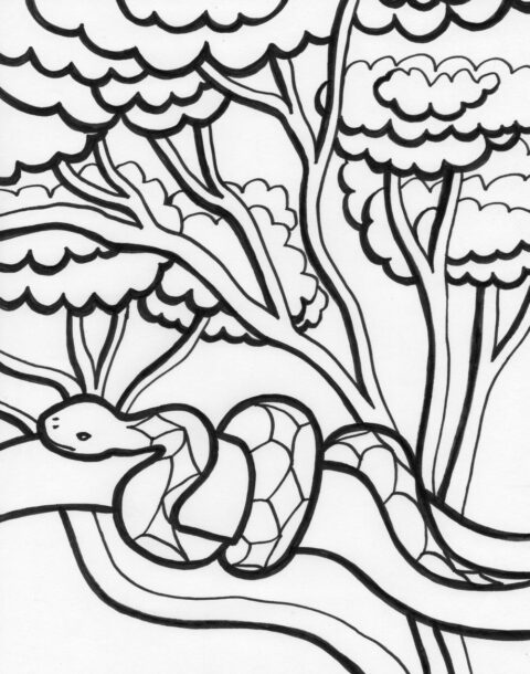 Snake Coloring Pages (14)