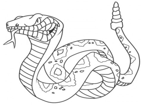 Snake Coloring Pages (16)