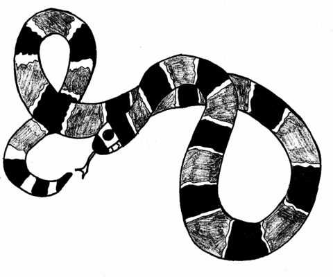 Snake Coloring Pages (3)