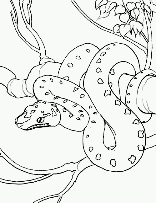 Snake Coloring Pages (4) - Coloring Kids