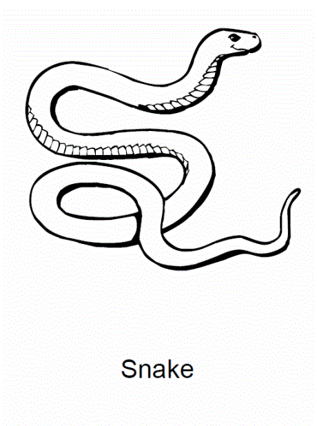 Snake Coloring Pages (5)