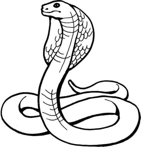 Snake Coloring Pages (8)