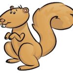 squirrels coloring pages