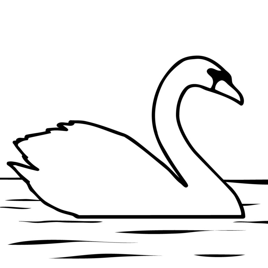 trumpeter-swan - Coloring Kids