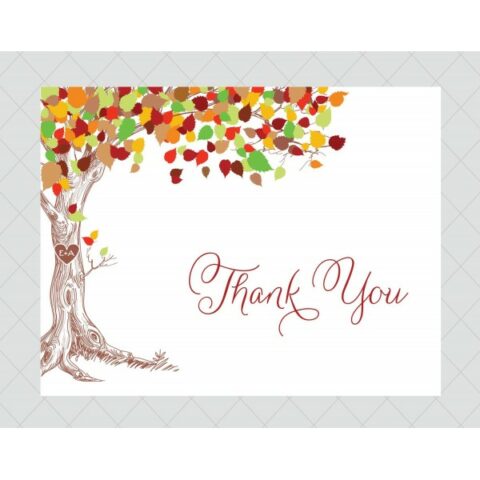 Thank You Cards (17)