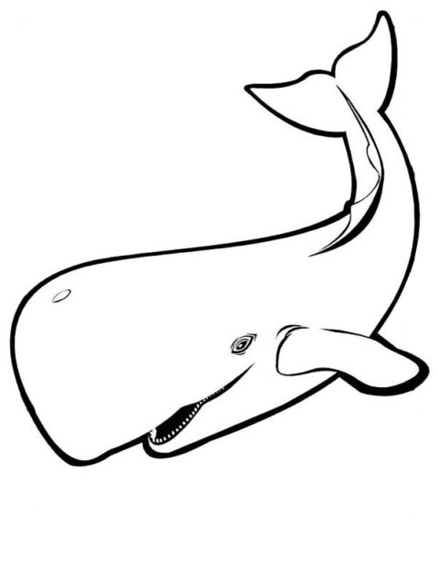 Whale Coloring Page |coloringkids.org