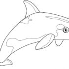 Whales Coloring Pages - Coloring Kids