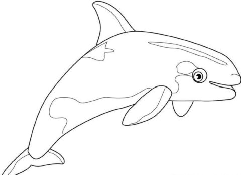 Whales-coloringkids.org.4