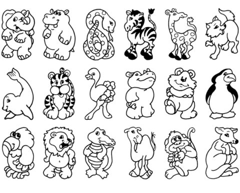 Zoo Coloring Pages (1)
