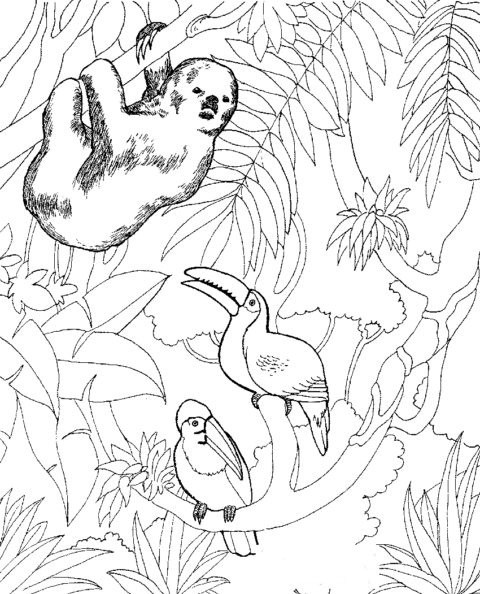 Zoo Coloring Pages (18)