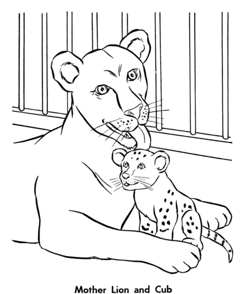 Zoo Coloring Pages (25)