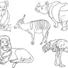 Zoo Coloring Pages - Coloring Kids